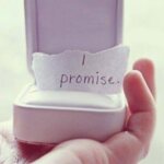 Permalink to I Promise I Promise